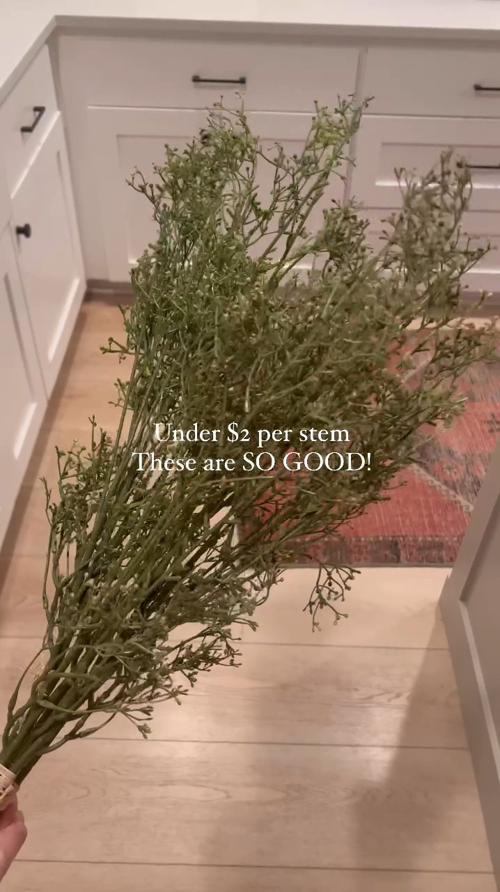 Walmart super affordable stems! Spring greenery stems for vase filler 

#LTKSeasonal #LTKSaleAlert #LTKHome