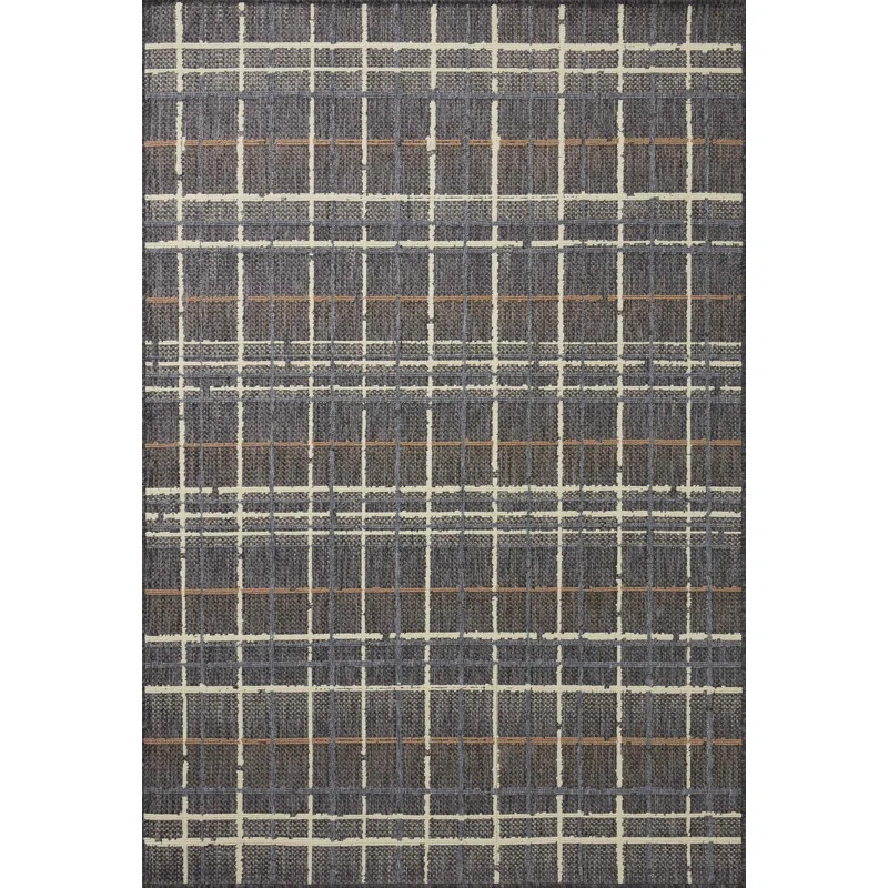 Pesina II Charcoal / Multi Indoor/Outdoor Area Rug | Wayfair North America