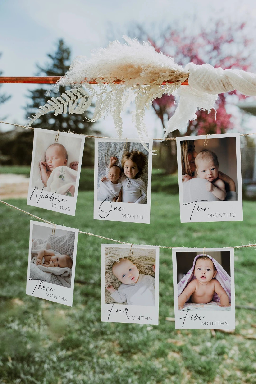 First Birthday Photo Banner Template, Editable Baby's 1st Year Monthly Milestone Cards, Printable... | Etsy (US)