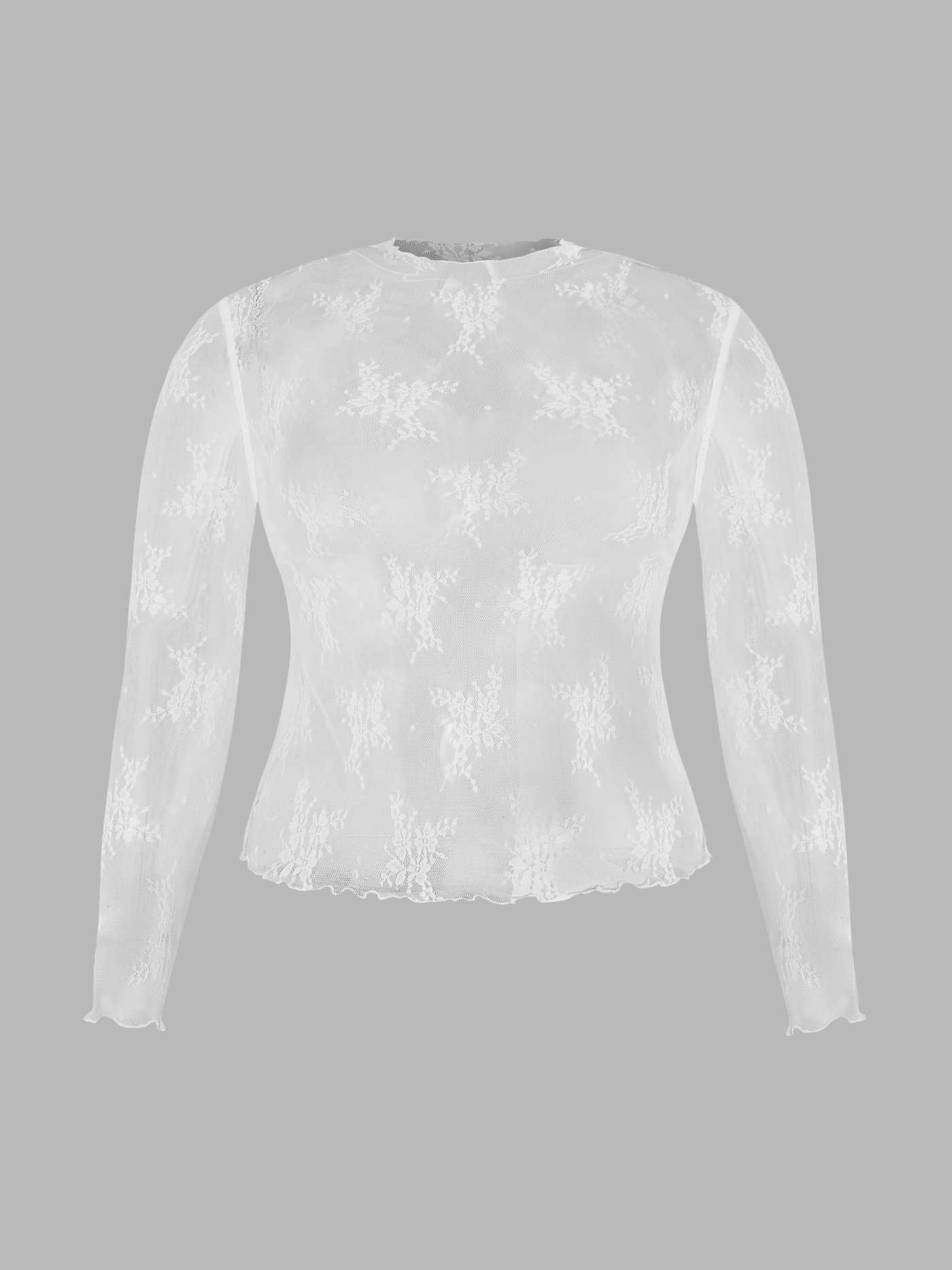 Lace Long Sleeve Top Curve & Plus | Cider