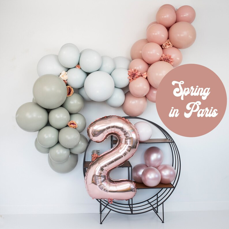 Spring in Paris Balloon Garland Arch Kit  Matte Chalk Colors | Etsy | Etsy (US)