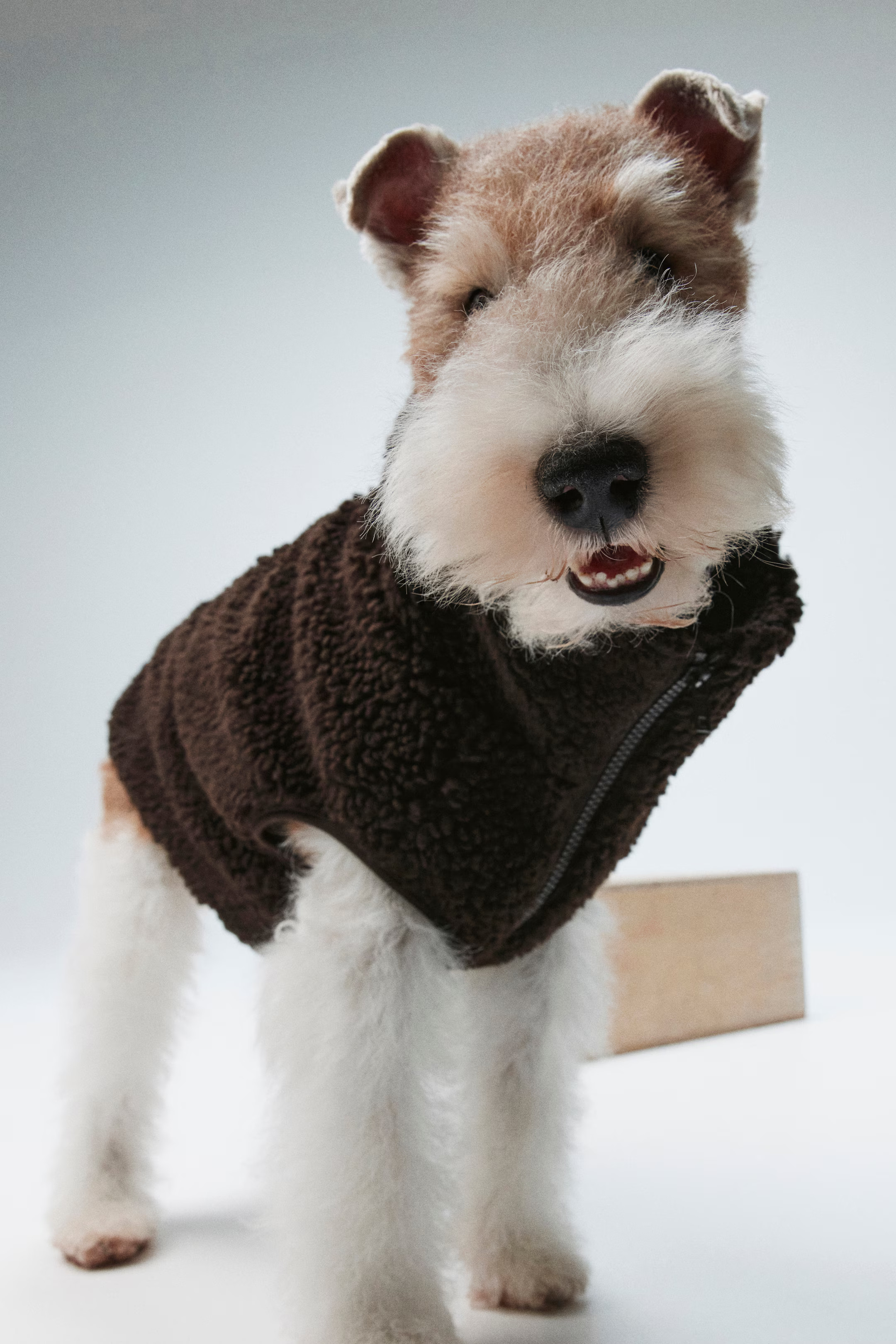Teddy Fleece Dog Jacket | H&M (US + CA)