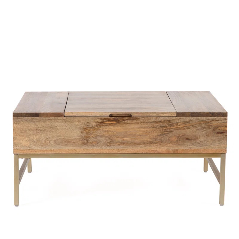 Kassidy Lift Top Coffee Table with Storage | Wayfair North America
