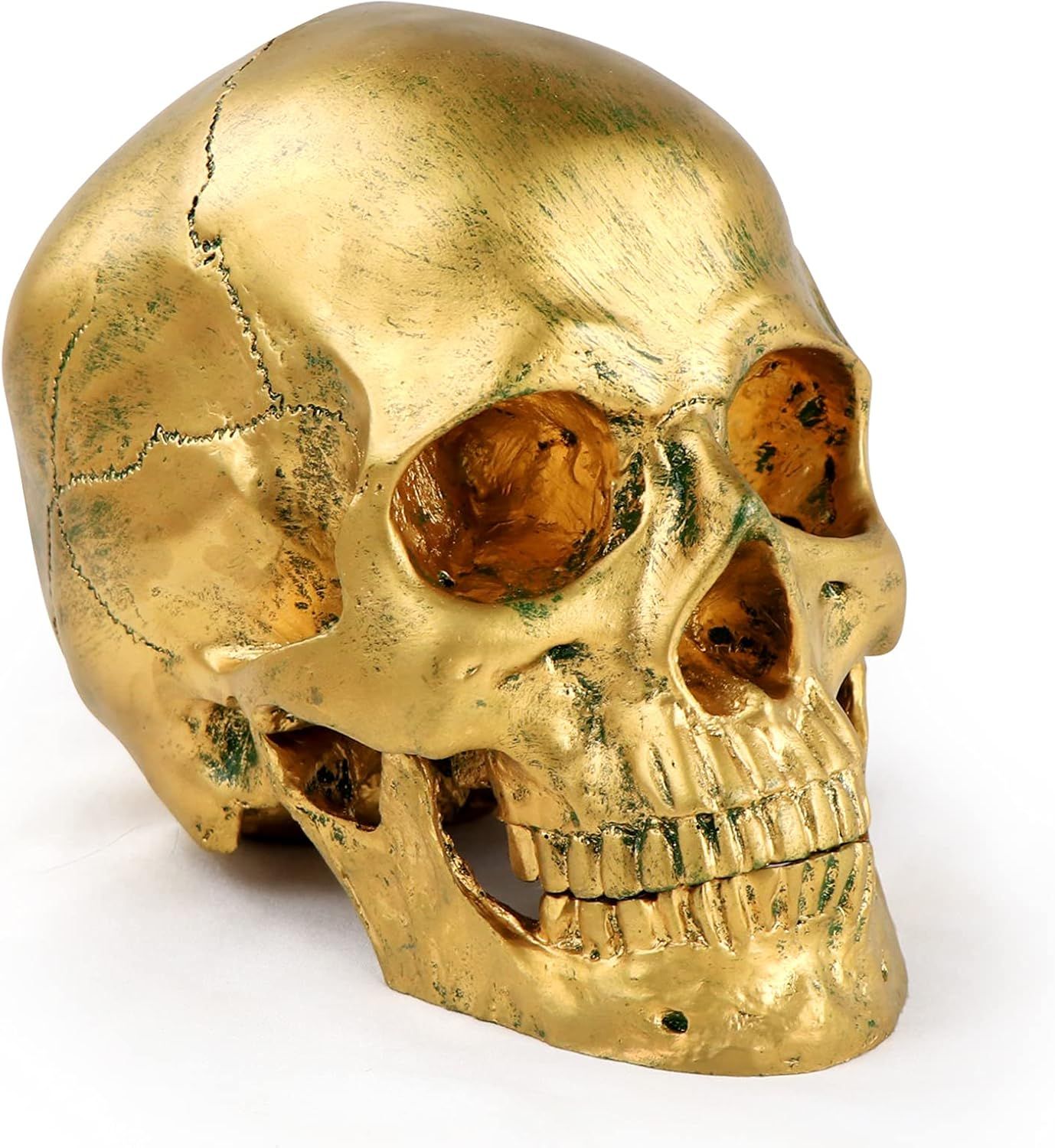 Resin Human Skull Statues Halloween Decor Skeleton Outdoor Human Skull Model Golden Home Decorati... | Amazon (US)