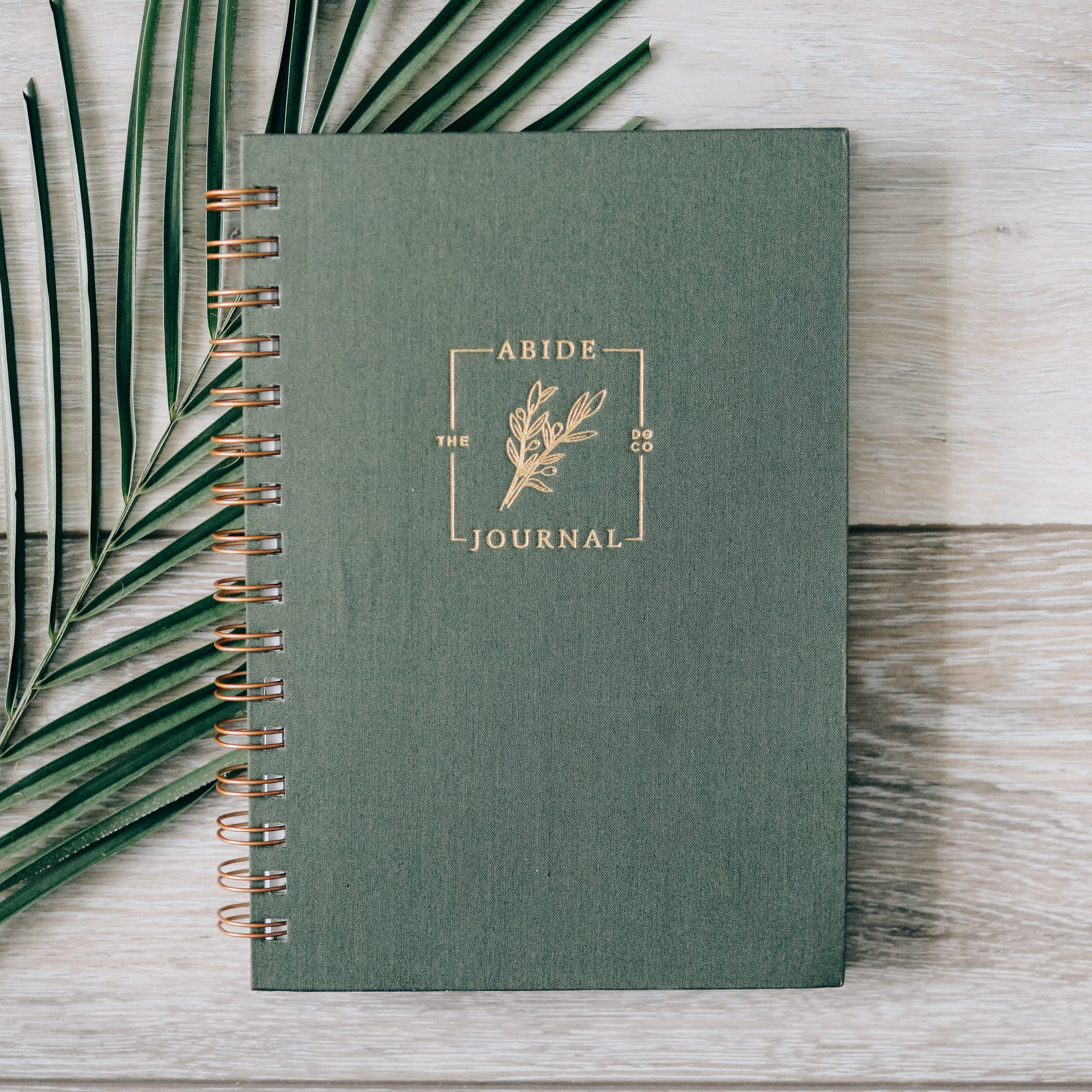 Abide Journal - Jewel Tone | The Daily Grace Co.