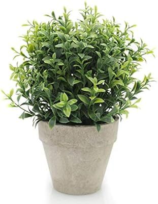 Velener Artificial Plants Mini Potted Grass Arrangements for Home Decor (Green, Seven-Layer) | Amazon (US)