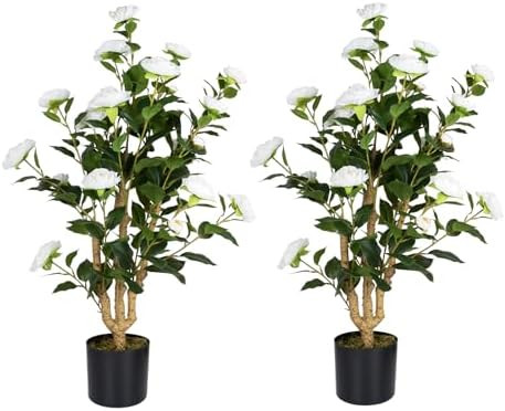 Artificial Camellia Tree 2 Pack, 38’’ Faux Camellia Plant in Pot with White Flowers, Greenery... | Amazon (US)
