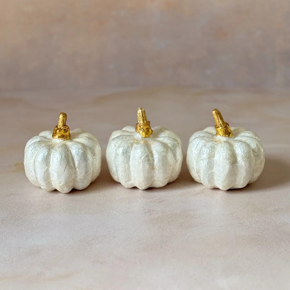 Capiz Ivory Pumpkin | Wayfair North America
