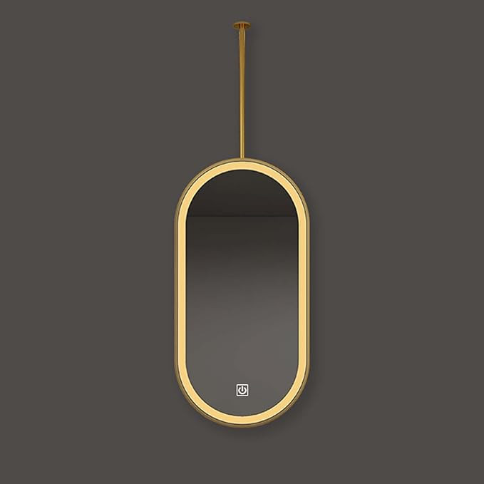 Ceiling Mount Mirrors for Bathrooms with LED Light Oval Ceiling Mirror Wall-Mounted Vanity Mirror... | Amazon (CA)
