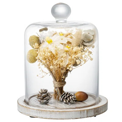 Modern Farmhouse Décor Decorative Glass Cloche | Wayfair North America