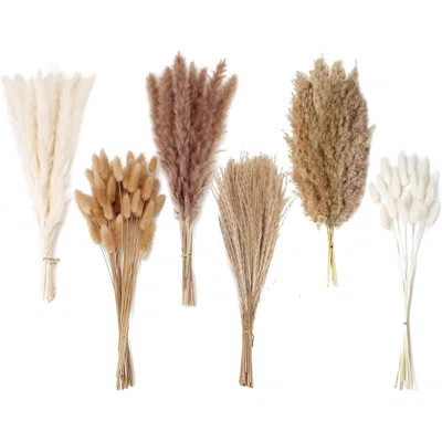 Dried Pampas Grass Decor, 120 PCS Pampas Grass With Bunny Tails Dried Flowers, Reed Grass Bouquet For Wedding, Boho Flowers, Home Table Decor, Rustic | Wayfair North America