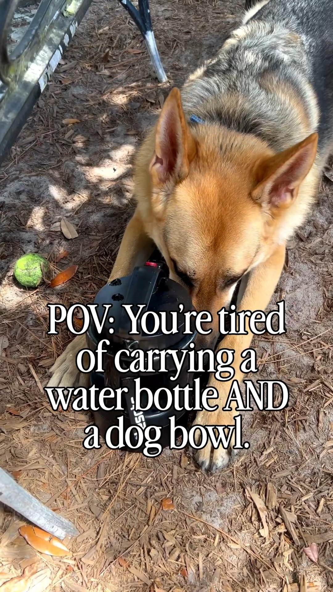If you have a dog who goes everywhere with you, you need this portable dog water bottle!

I used to carry a water bottle and a separate bowl, which was honestly such a hassle.

But this bottle has a built-in bowl, so all I have to do is press a button and it’s ready for my pup to drink.

It’s perfect for walks, road trips, beach days, hikes, or anytime we’re out longer than expected. As a dog mom, finding products that actually make life easier is always a win.

@lesotcpets #lesotc #dogmusthaves #amazonpets #dogwaterbottle #dogtravel #amazonfinds #ltkpet

#LTKActive #LTKSaleAlert #LTKTravel