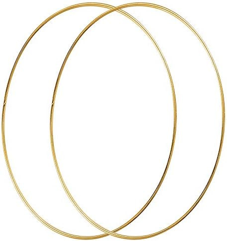 Sntieecr 2 Pack 14 Inch Large Metal Floral Hoop Wreath Macrame Gold Craft Hoop Rings for Making C... | Amazon (US)