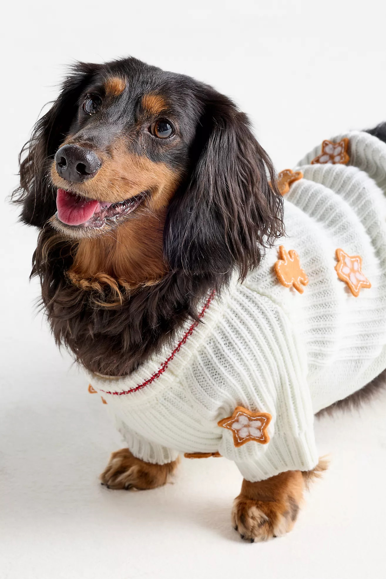 Seasonal 3D Motif Pet Sweater | Anthropologie (US)