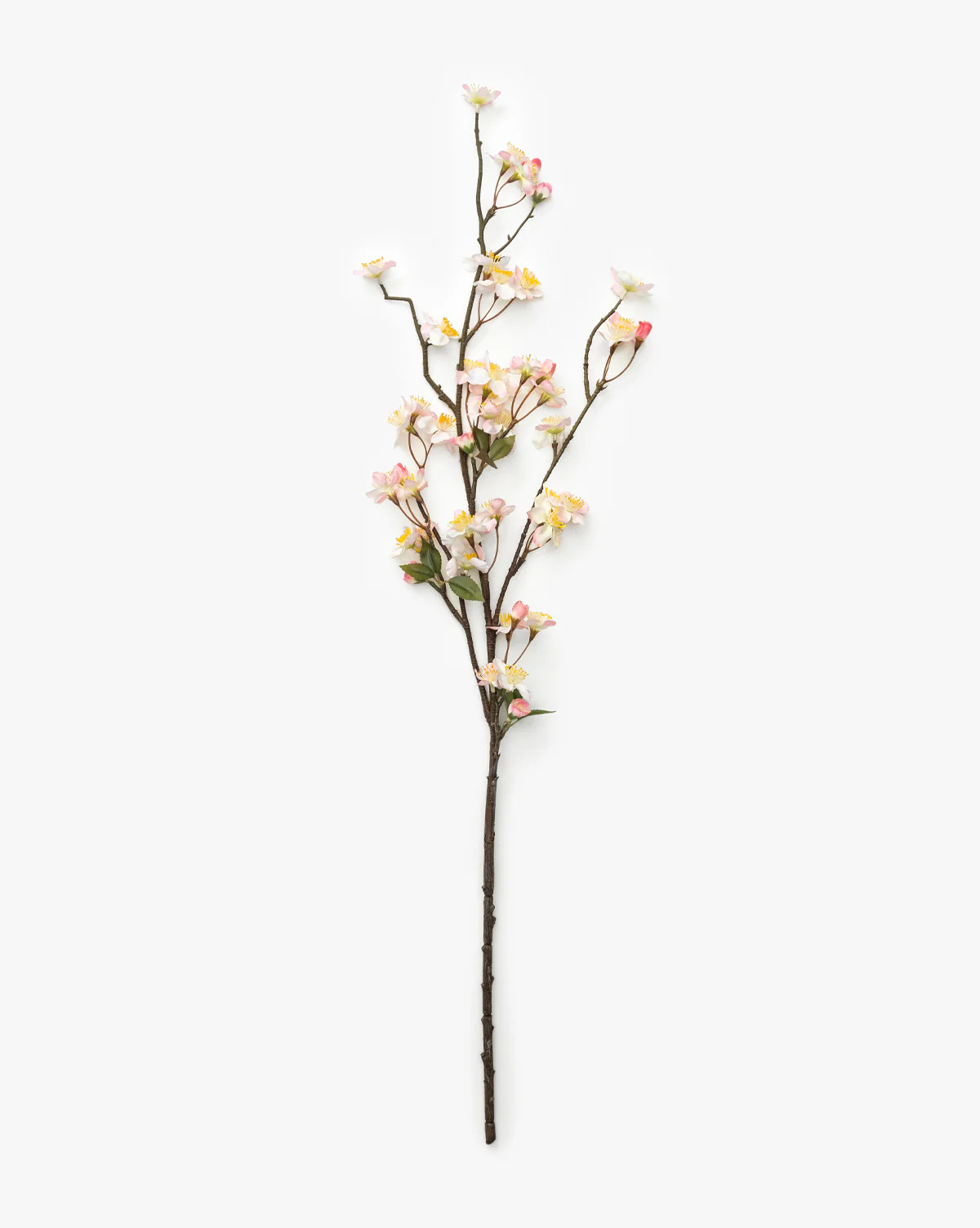 Faux Cherry Blossom (Set of 2) | McGee & Co. (US)