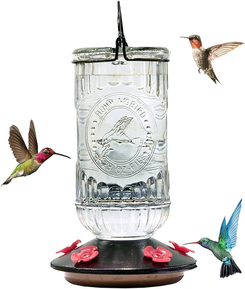 Nature's Rhythm Bird Feeder Vintage Transparent Antique Glass Bottle Hummingbird Feeder 5 Feeding... | Amazon (US)