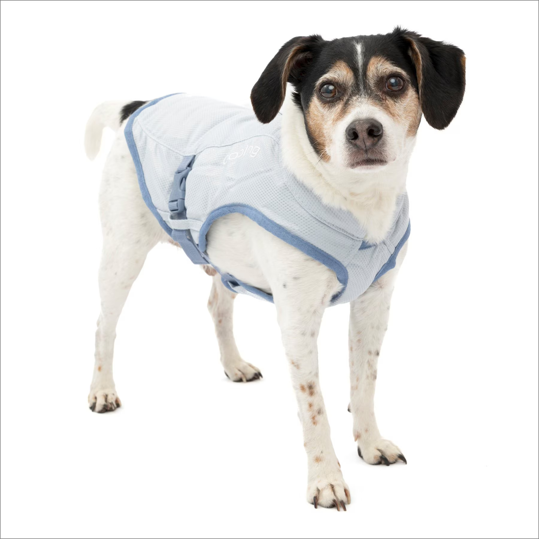 Kurgo Core Cooling Dog Vest, Small | Chewy