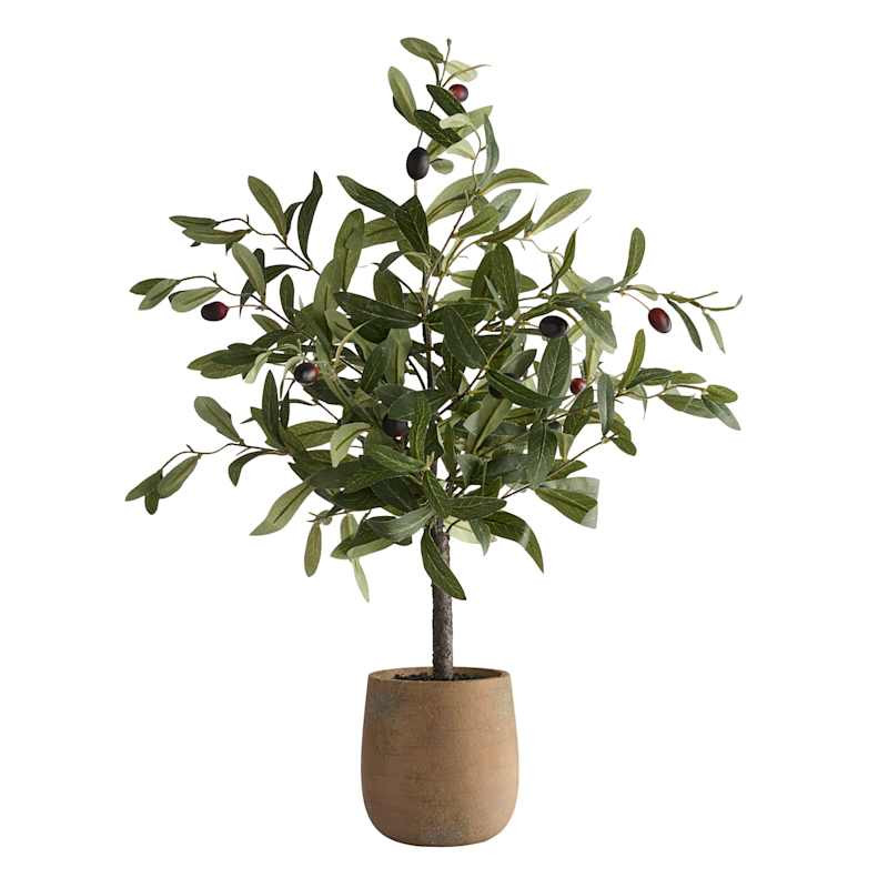 Honey Olive Topiary Tree in Ceramic Pot, 26" | At Home