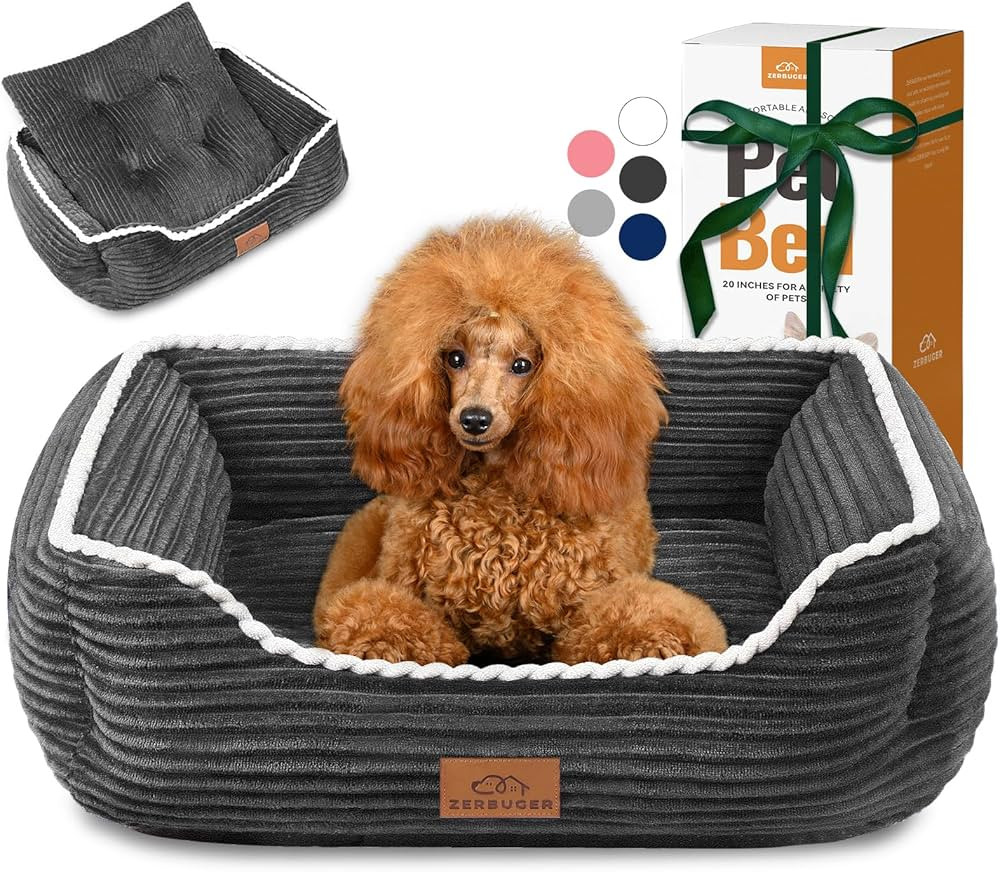 Rectangle Cat Dog Bed for Large Medium Small Pets Indoor Outdoor Machine Washable Sleeping Sofa N... | Amazon (US)
