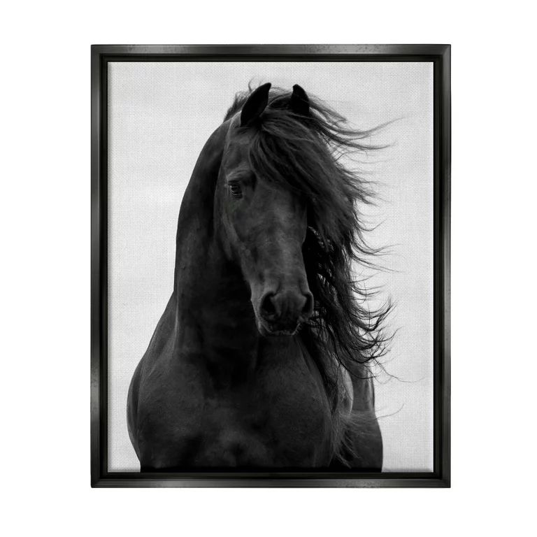 Stupell Industries Black Stallion Horse Portrait Soft Grey Sky Photography Jet Black Framed Float... | Walmart (US)