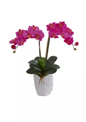 Nearly Natural Double Phalaenopsis Orchid Artificial Arrangement | Belk