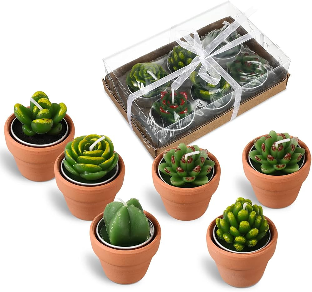6 Pcs Succulent Candles Decorative Cactus Tealight Candle Novelty Tea Lights Handmade Baby Shower... | Amazon (US)