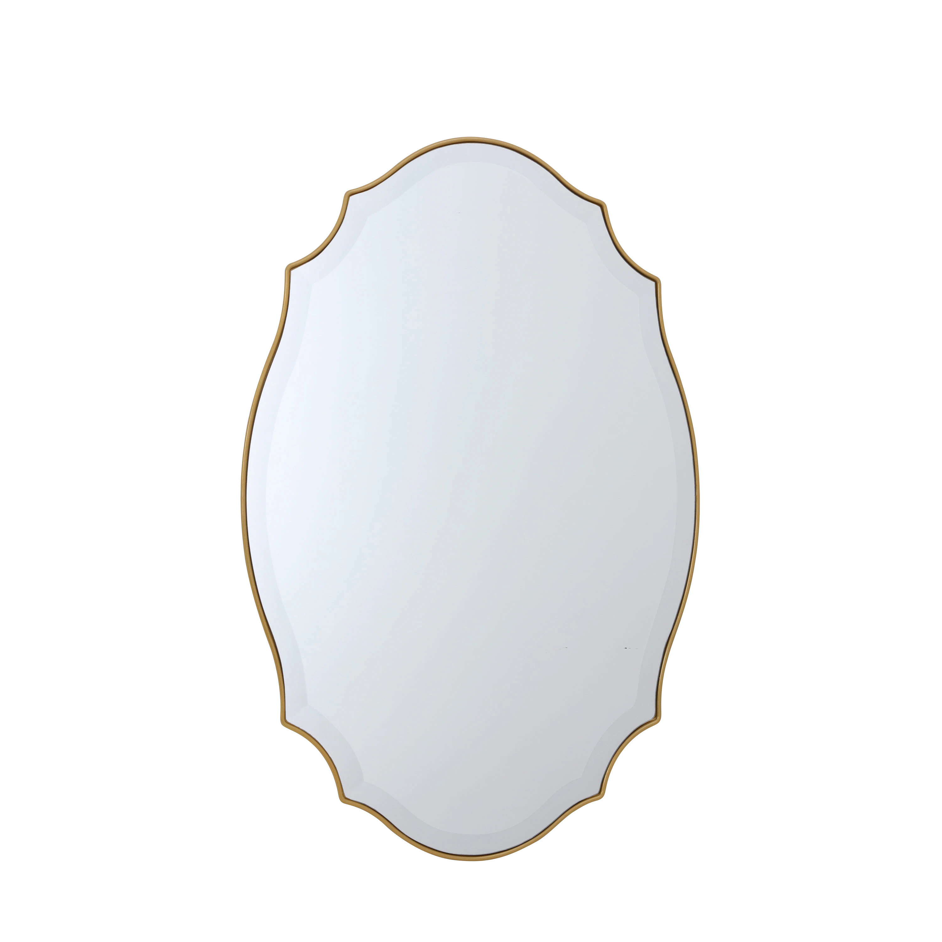 allen + roth 22-in W x 34.0-in H Oval Gold Beveled Wall Mirror | Lowe's
