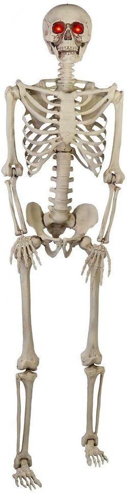 Home Accents HolidayGanmm 5 ft. Poseable Skeleton with LED Illumination | Amazon (US)