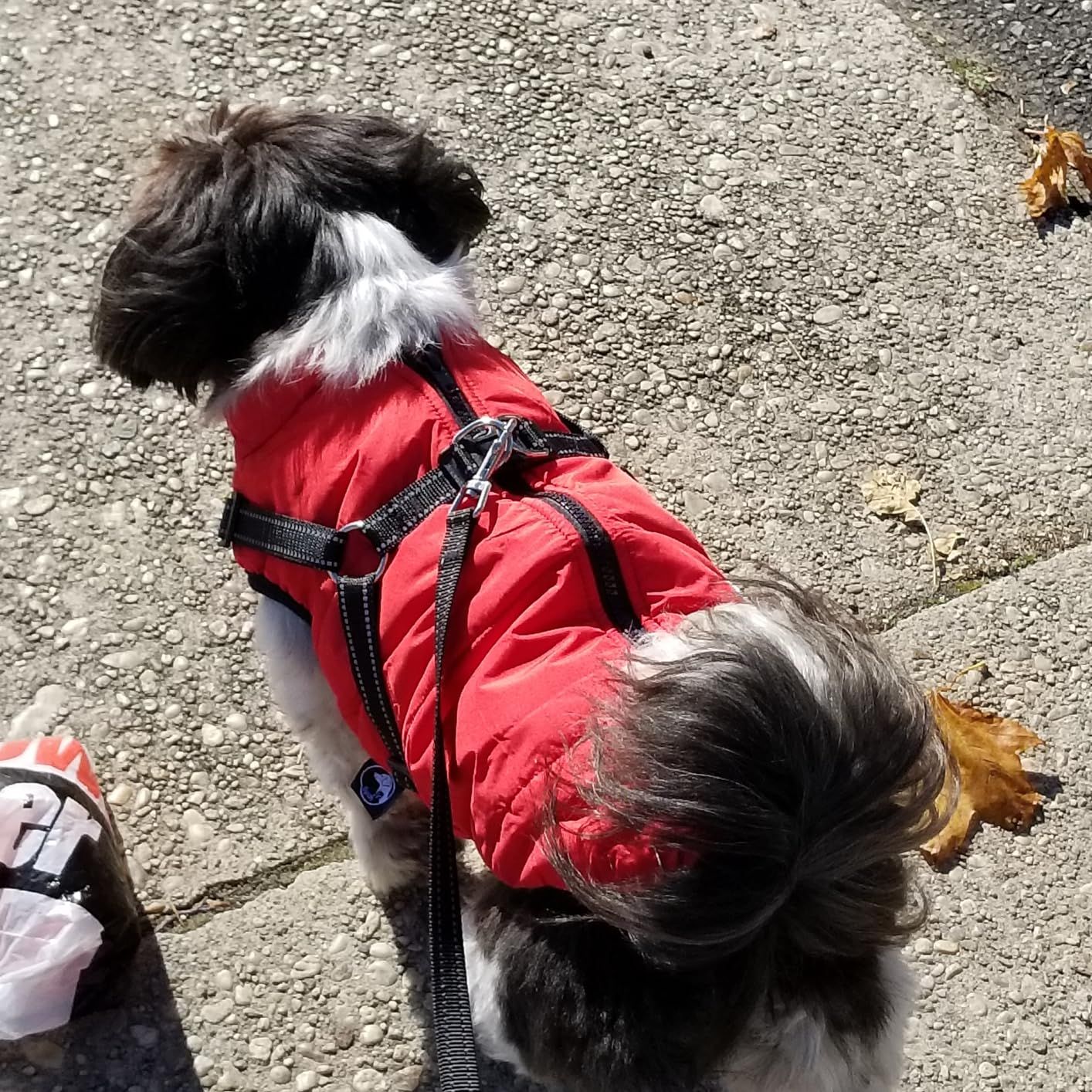 Gyuzh Dog Coat with Harness Winter Dog Coat Fleece Dog Jacket Waterproof Dog Coat Zipper Dog Jack... | Amazon (US)