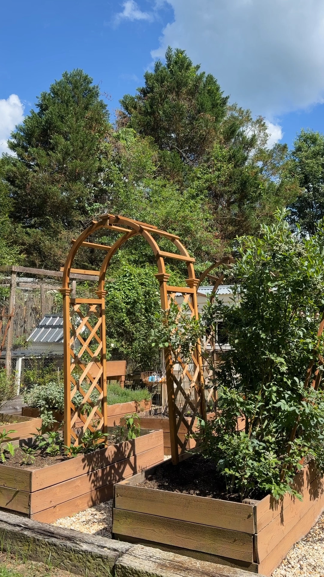 Structures in a garden make the space look intentional and grounding! You don’t have to know how to “build” to make this happen! It can simply be one of these arbor kits from @Wayfair  #ad This arbor set came with everything you need to put it together! Very easy to do! #wayfair #wishyouwerehere #wayfairpartner #outside

#LTKmomlife #LTKSeasonal #LTKHome