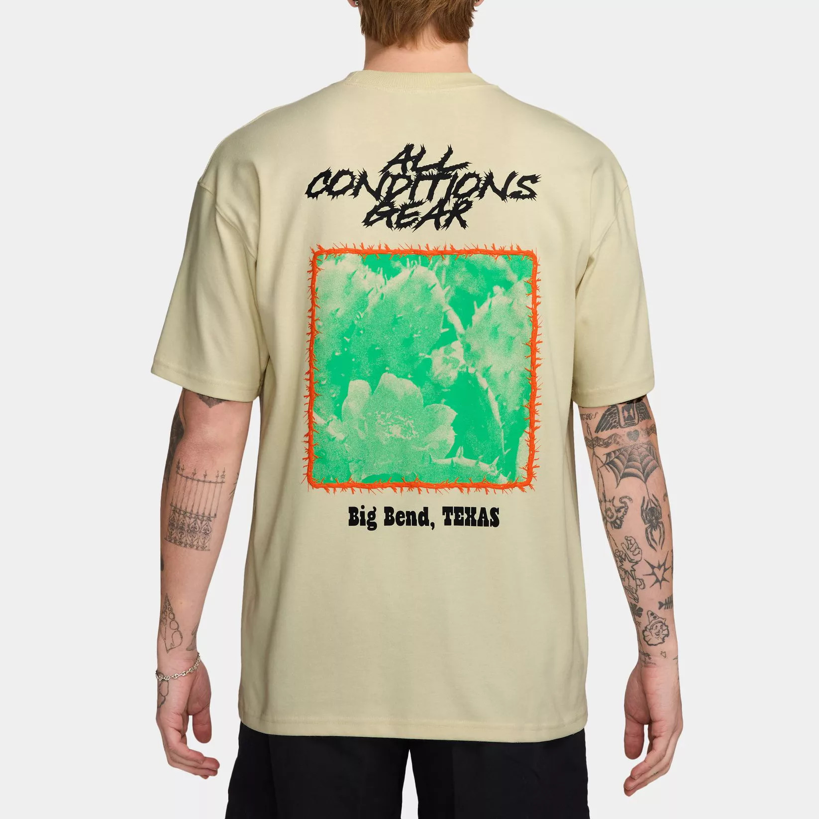 Nike Men's ACG Cactus Graphic T-Shirt, Large, Lt Khaki | DICK'S Sporting Goods