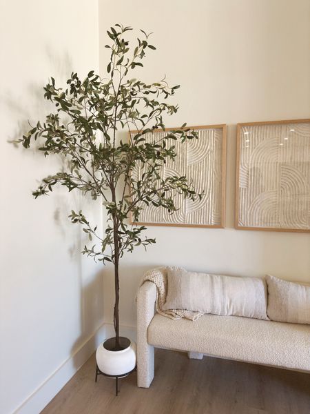 our new olive tree, she’s sooo cute!! Now we just need a tall planter. Linking some of the planters I’m eyeing 🤍



#LTKhome