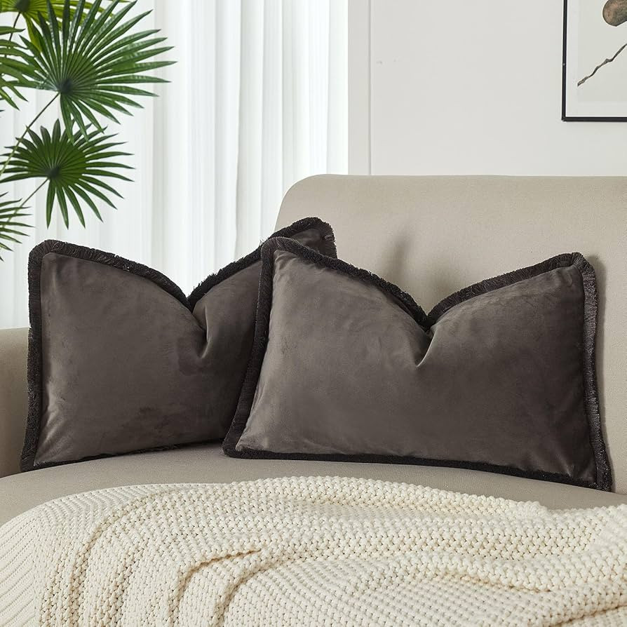 JUSPURBET Ash Velvet Throw Pillow Covers 12x20 Inch Set of 2 with Soft Tassel Fringe Luxury Boho ... | Amazon (US)