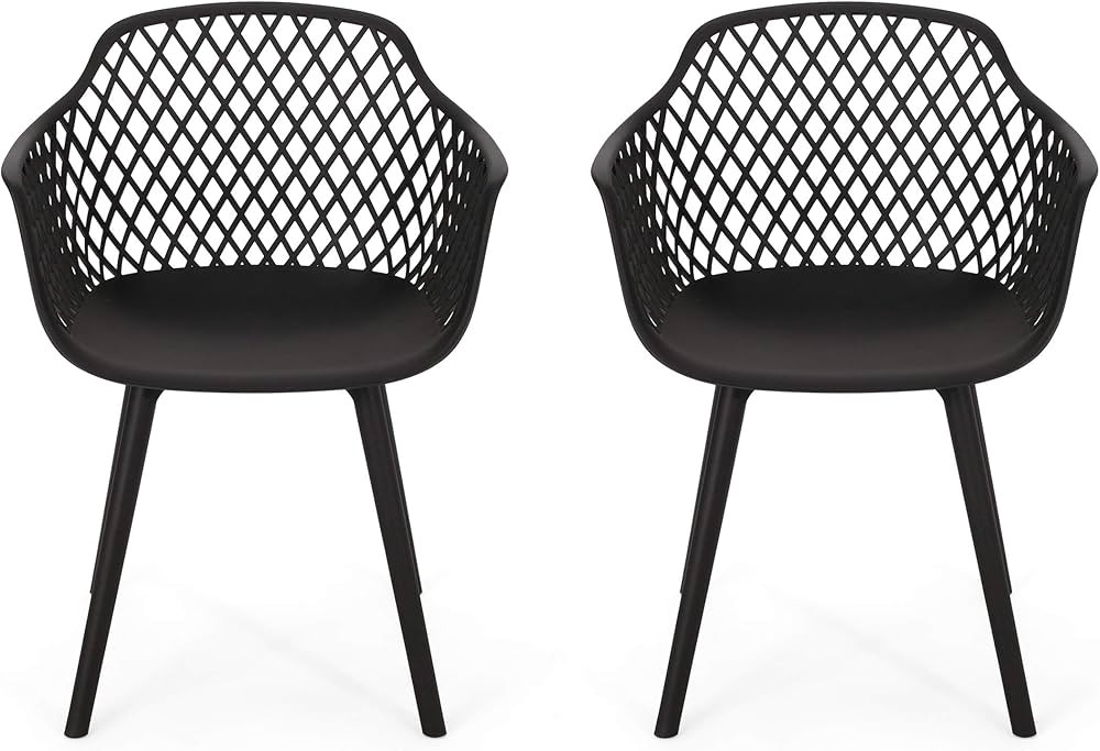 Christopher Knight Home Delia Outdoor Dining Chair (Set of 2), Black | Amazon (US)