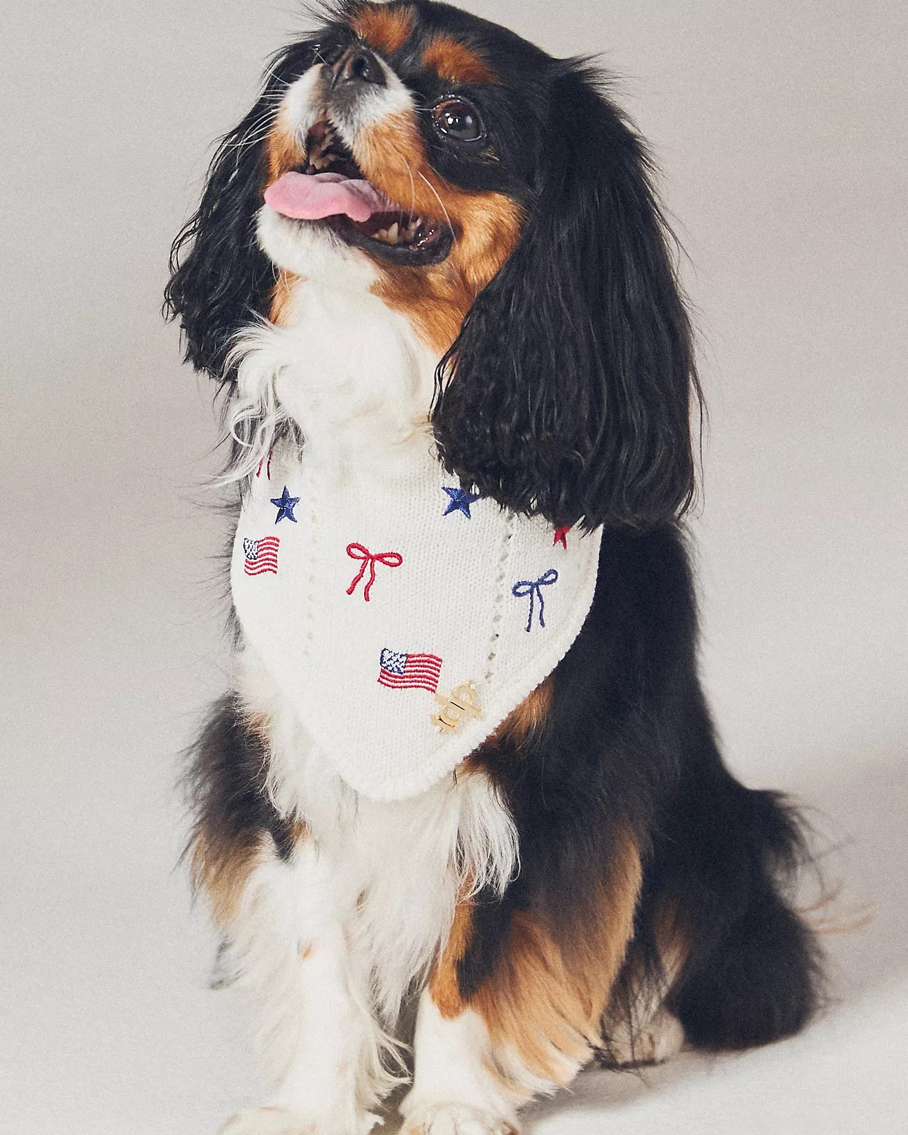 4th of July scarf for your pup! 

#LTKPets