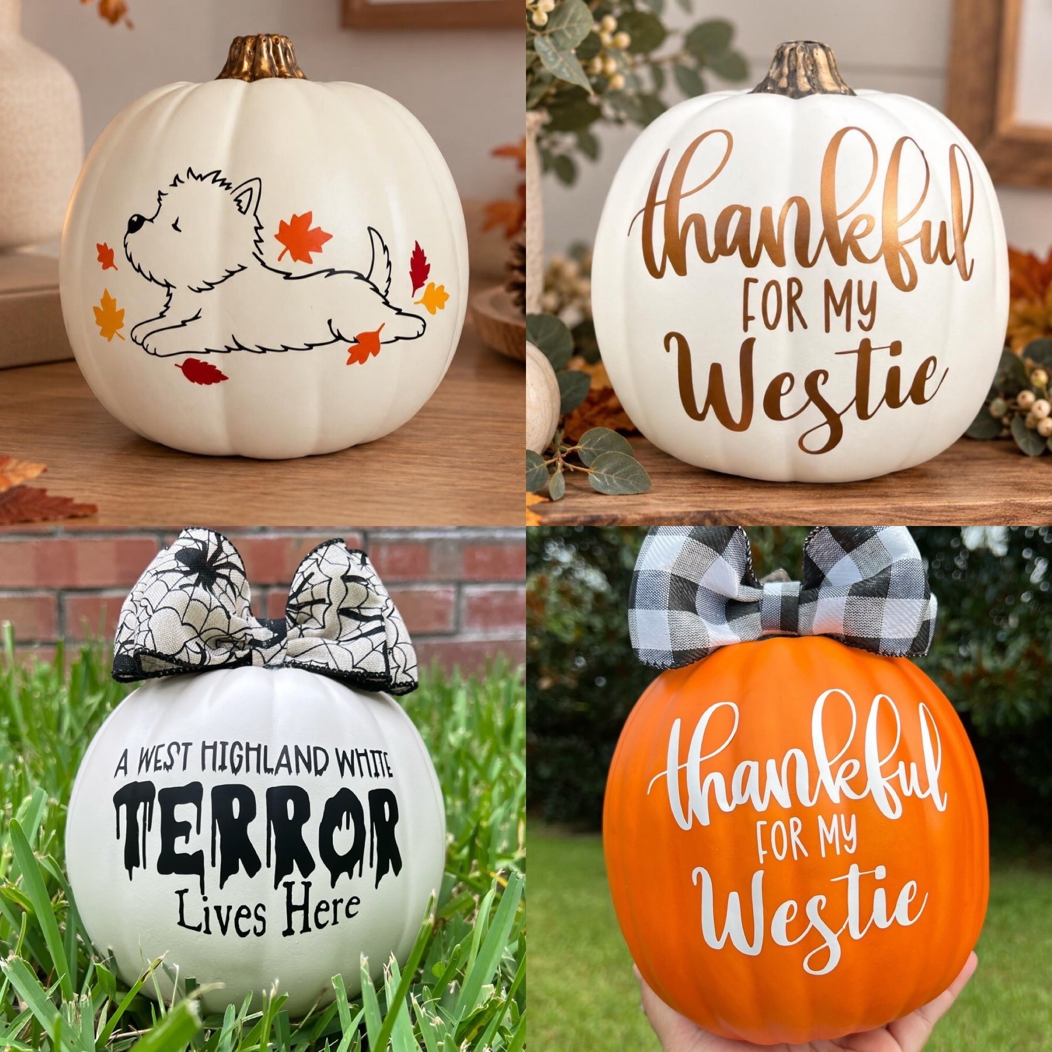 The perfect fall pumpkin for the Westie lover - a cute gift for the dog mom or dog dad! Westie pumpkin, Halloween pumpkin, Thankful Thanksgiving

#LTKHome #LTKSeasonal #LTKdayinmylife