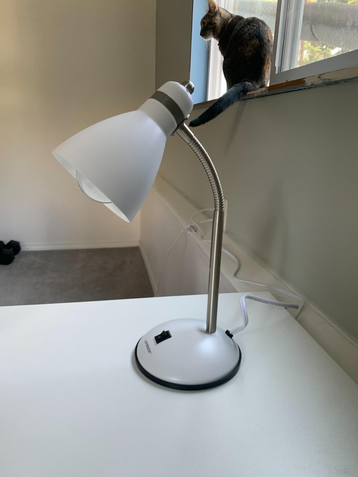 LEPOWER Metal Desk Lamp, Eye-Caring Table Lamp, Study Lamps with Flexible Goose Neck for Bedroom,... | Amazon (US)