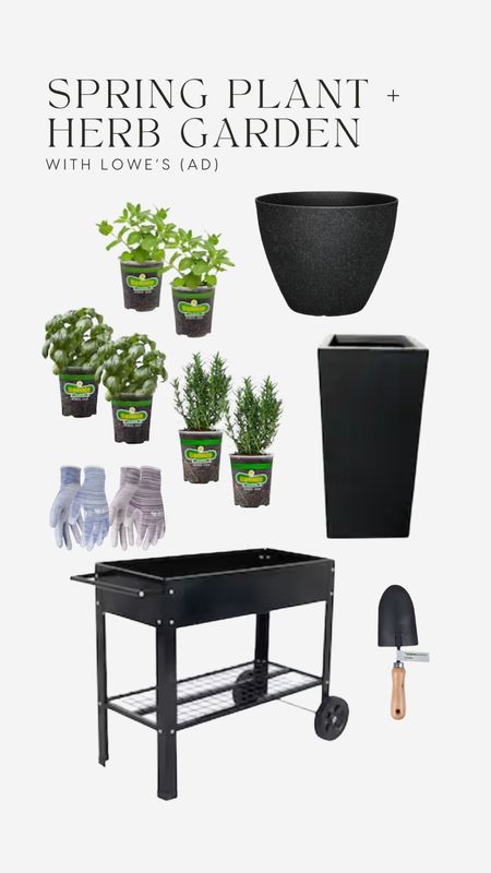 #AD Plant and herb garden, year 2!! 🪴🌿 I’m so excited to be partnering with @Loweshomeimprovement this year since I actually got everything I needed from Lowe’s last year when I first started my garden! I’m linking everything you’ll need to get started via my @shopltk. #lowespartner #lowes #liketkit @loweshomeimprovement 

#LTKSpringSale #LTKstyletip #LTKSeasonal