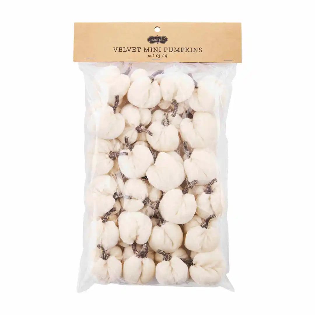 Velvet Cream Mini Pumpkins (Bag of 24) | Linen & Flax Co