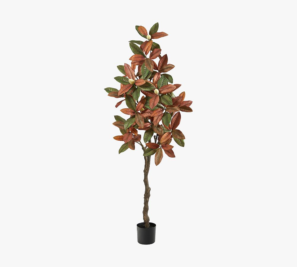 Faux Fall Magnolia Tree | Pottery Barn (US)