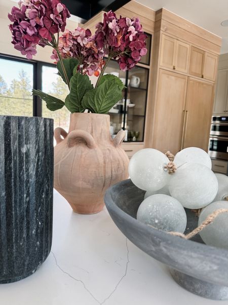 This decor is so versatile. I love using different stems to give a seasonal refresh and the terracotta vase is the perfect touch for spring. 

#LTKstyletip #LTKhome
