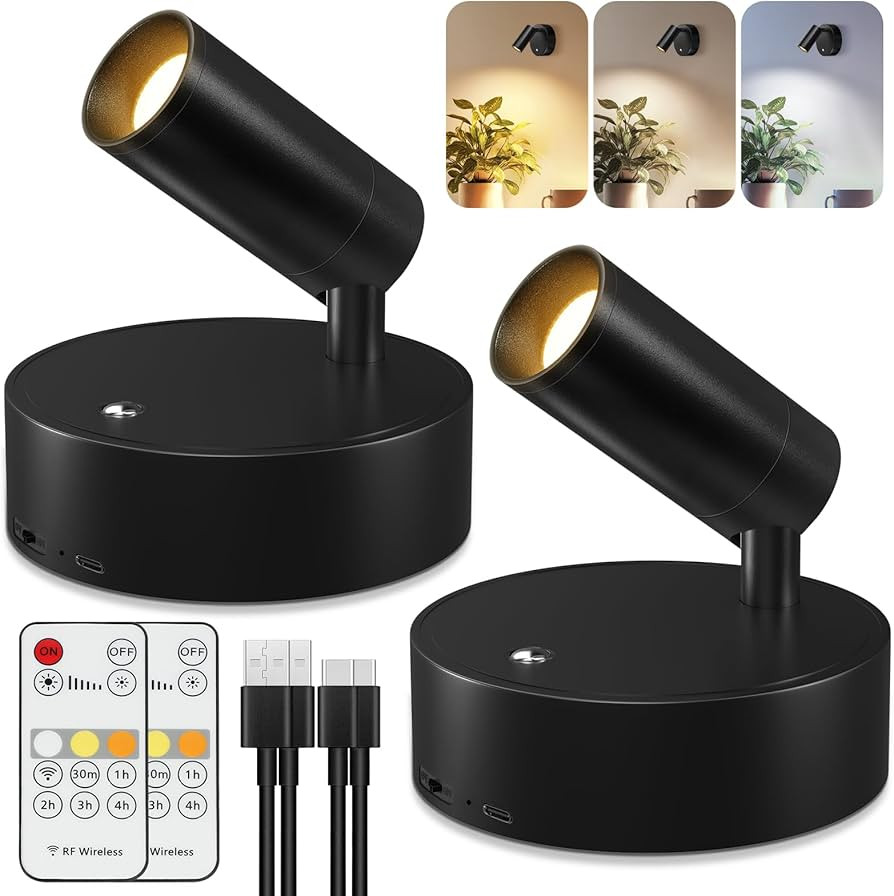 Kimjo Spot Lights Indoor, 4000mAh Rechargeable Battery LED Spotlight Indoor with Remote, Wireless... | Amazon (US)