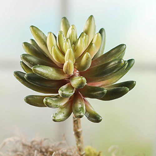 Factory Direct Craft® Artificial Vinyl Succulent Pick for Home Decor, Gifting and Decorating | Amazon (US)