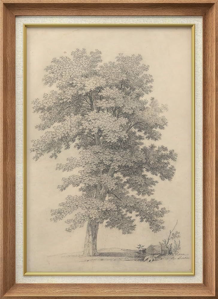 SIGNWIN Premium Frame Art Gentle Giant Drawing of a Majestic Tree Illustrations Fine Art Traditio... | Amazon (US)