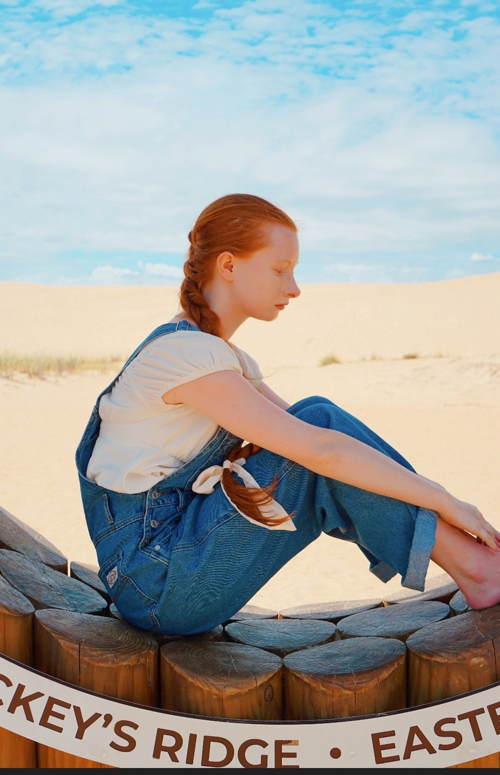 My favorite overalls and blouse combo! #fall#overalls

#LTKSeasonal #LTKFindsUnder50