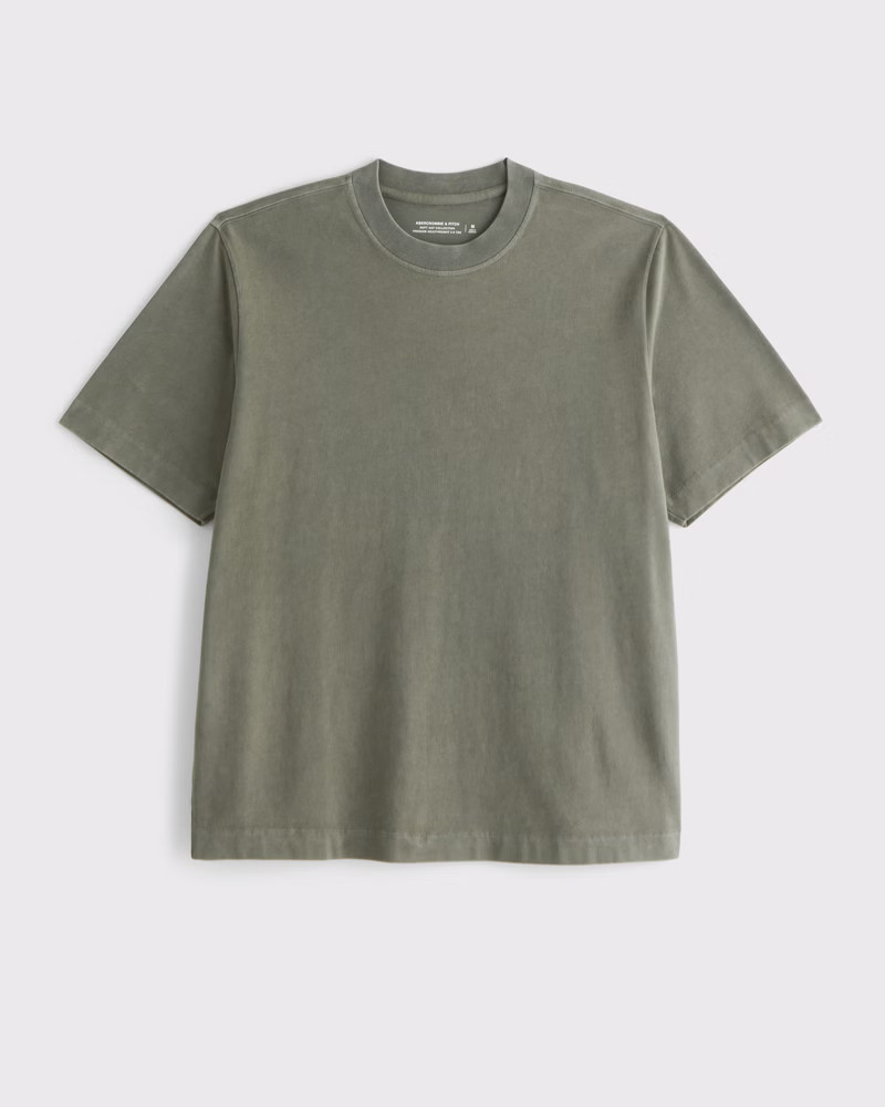 Premium Heavyweight 2.0 Tee | Abercrombie & Fitch (US)