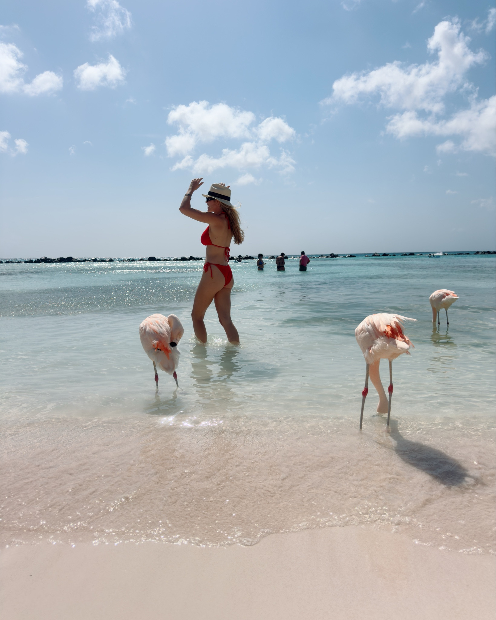 Some more honeymoon fits! Love this swimmy!! ❤️

Size D in Top
Small in bottom 

#LTKTravel #LTKSwim