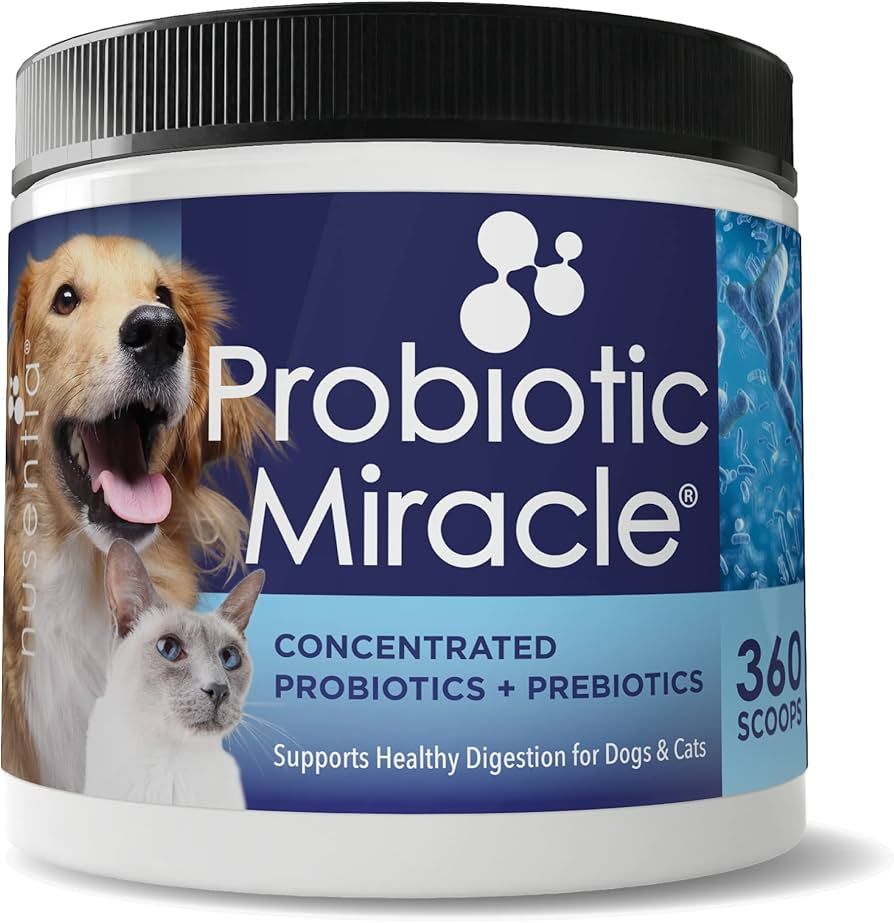 Probiotics for Dogs -(360 Scoops)-Probiotic Miracle -Advanced, Species Specific Probiotics and Pr... | Amazon (US)