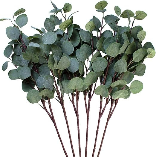 Seanmi Artificial Eucalyptus Leaves, 6 Pcs Faux Dried Silver Dollar Eucalyptus Garland Branches S... | Amazon (US)
