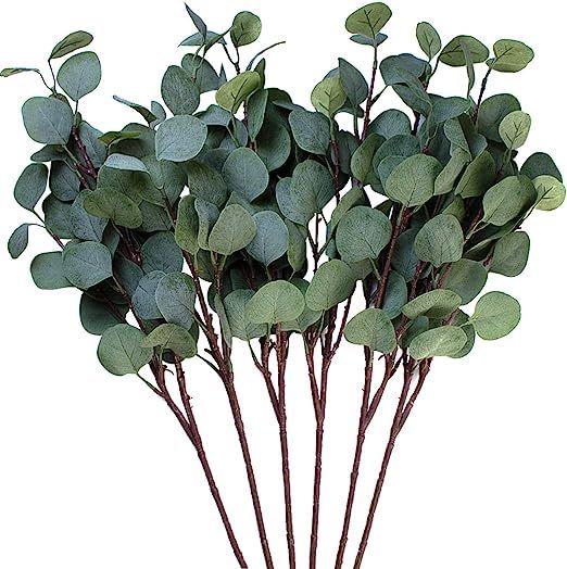 Seanmi Artificial Eucalyptus Leaves, 6 Pcs Faux Dried Silver Dollar Eucalyptus Garland Branches S... | Amazon (US)